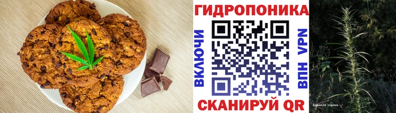 Canna-Cookies марихуана  omg   Брюховецкая  где купить  