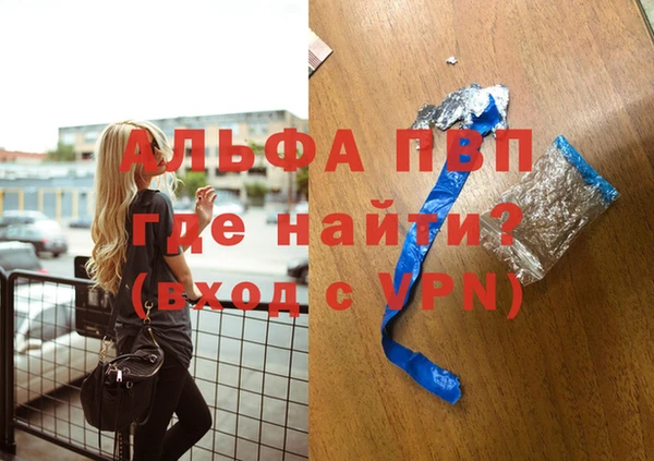 PSILOCYBIN Бородино
