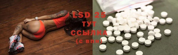 PSILOCYBIN Бородино