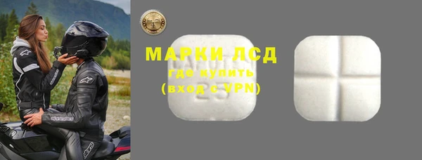 PSILOCYBIN Бородино