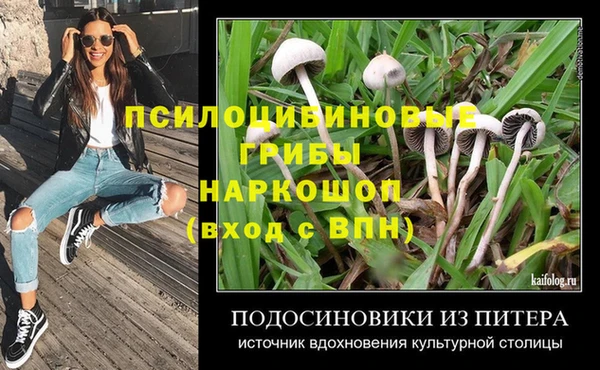 таблы Богородск