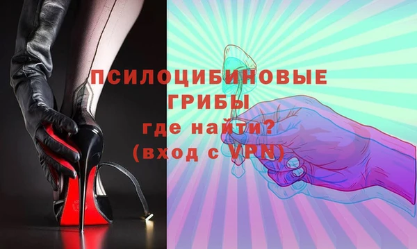 PSILOCYBIN Бородино