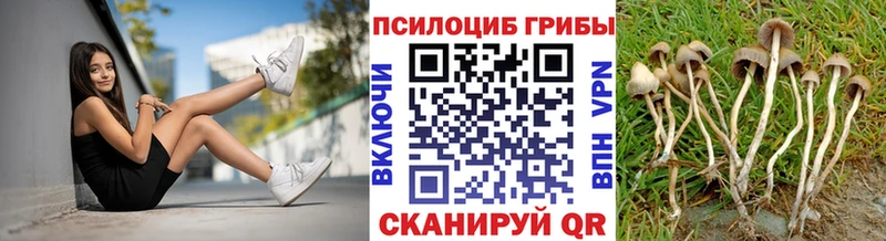что такое   Брюховецкая  Псилоцибиновые грибы мухоморы 